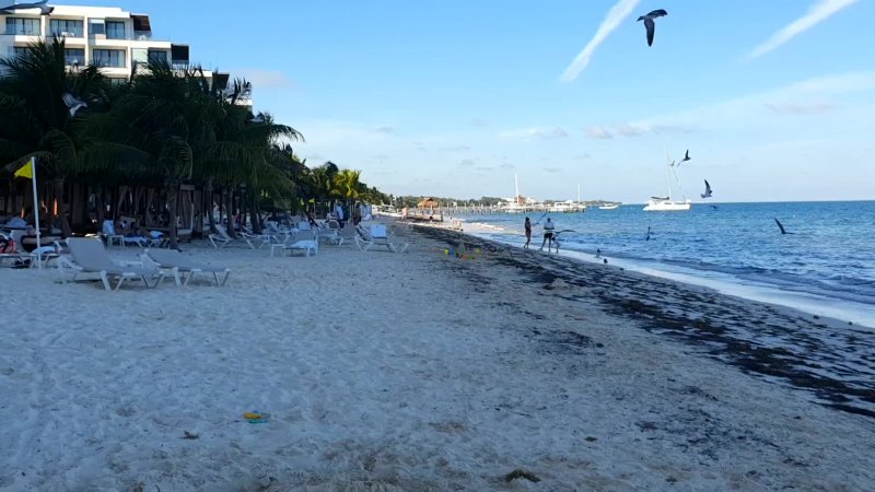 Am Strand