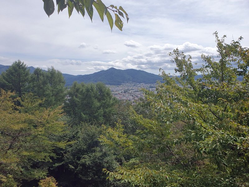 Video - Fuji 2025