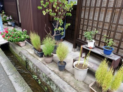 Takayama Historisches Viertel