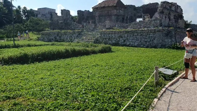 Video - Tulum 2025
