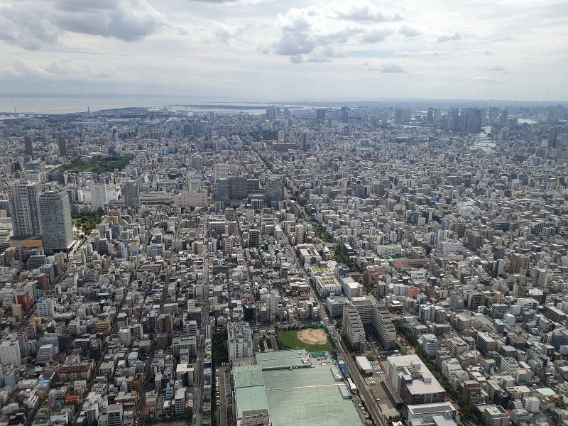 Video - Skytree 2025