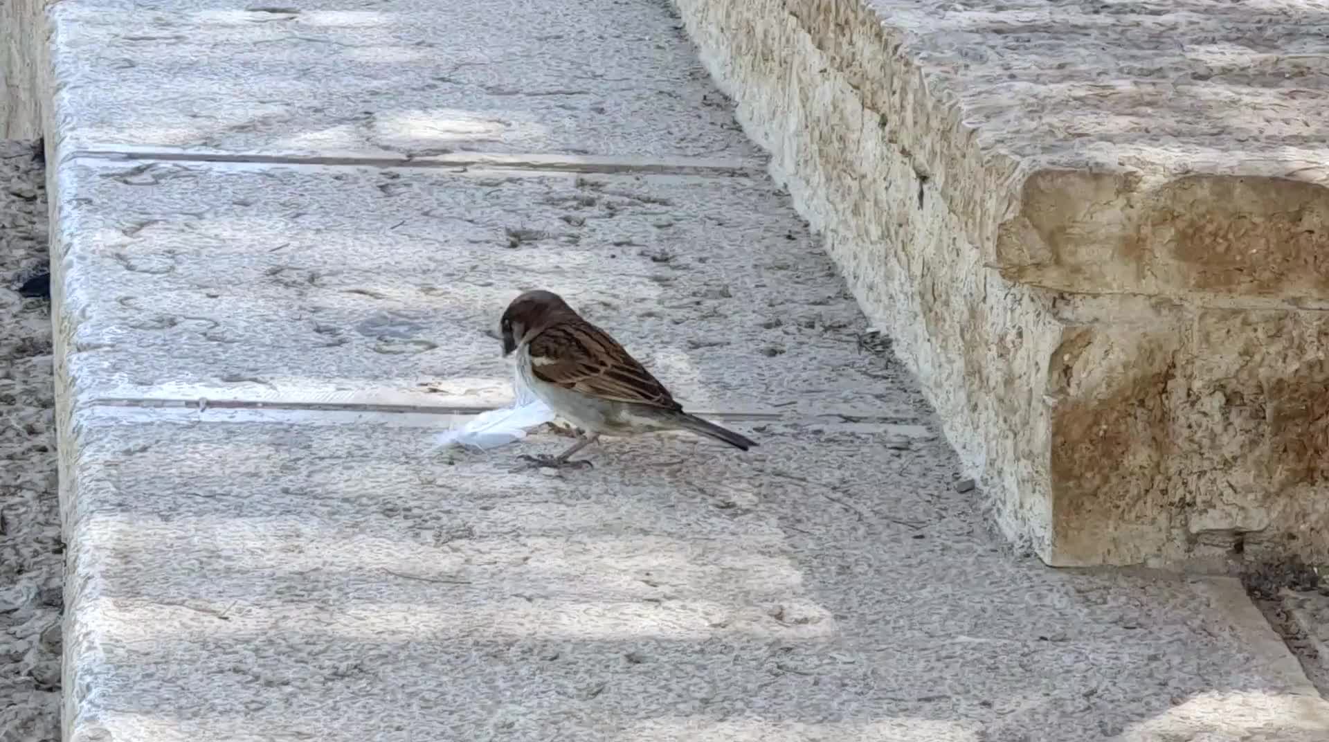 Andachtsstätte Qasr al Yahud